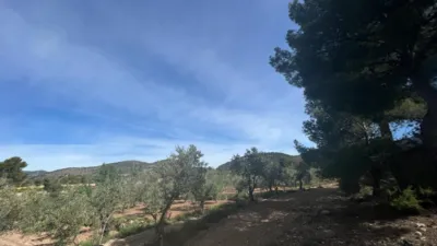 Chalet on Poligono Street photo 135