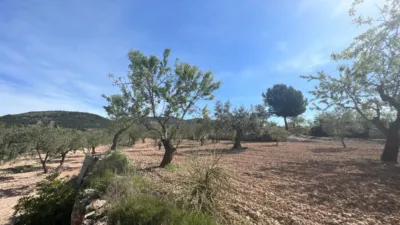 Chalet on Poligono Street photo 50