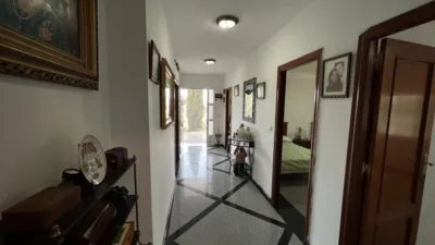Chalet in Penaguila photo 136