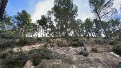 Chalet in Penaguila photo 17