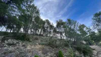 Chalet in Penaguila photo 27