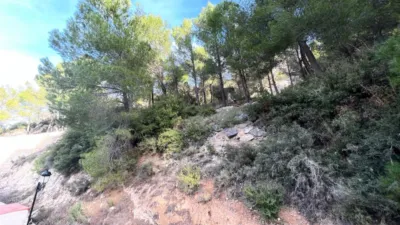 Chalet in Penaguila photo 34