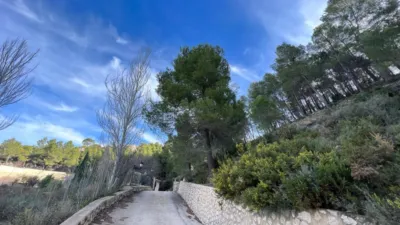 Chalet in Penaguila photo 73