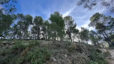 Chalet in Penaguila photo 75