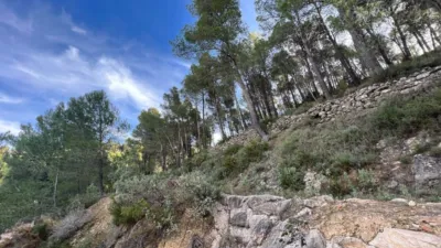 Chalet in Penaguila photo 76