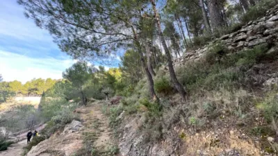 Chalet in Penaguila photo 77