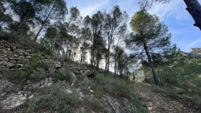 Chalet in Penaguila photo 78