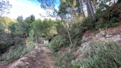 Chalet in Penaguila photo 81