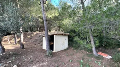 Chalet in Penaguila photo 83