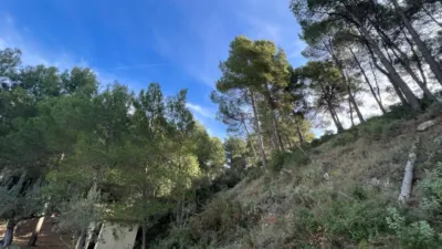 Chalet in Penaguila photo 84
