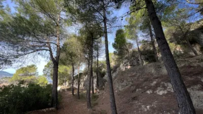 Chalet in Penaguila photo 85