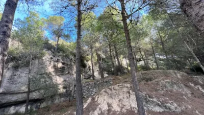 Chalet in Penaguila photo 86