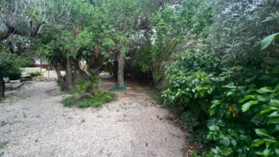 Chalet en Monforte del Cid photo 116
