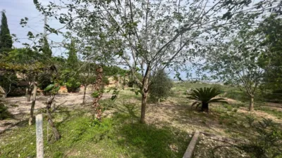 Chalet en Monforte del Cid photo 48
