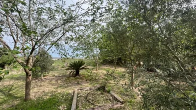 Chalet en Monforte del Cid photo 50