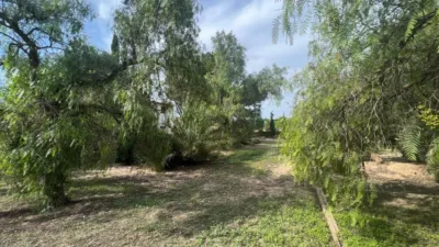Chalet en Monforte del Cid photo 51