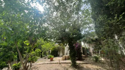 Chalet en Monforte del Cid photo 64