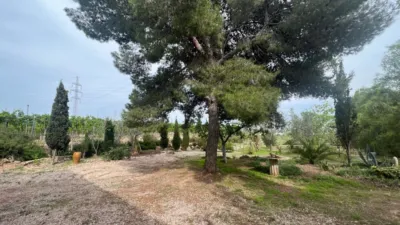 Chalet en Monforte del Cid photo 66