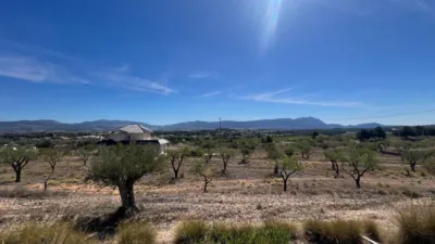 Rustic house in Castalla photo 4