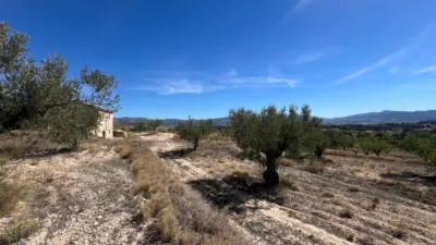 Rustic house in Castalla photo 5