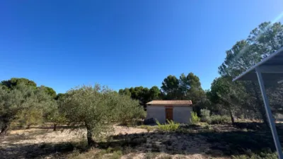 Chalet in Banyeres photo 16
