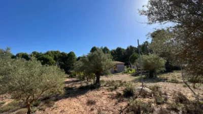 Chalet in Banyeres photo 18