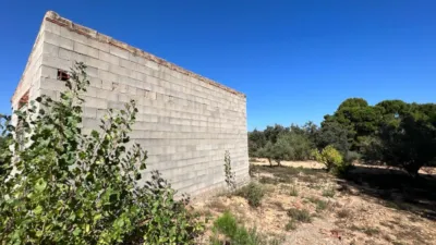 Chalet in Banyeres photo 21