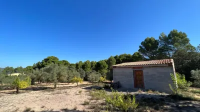 Chalet in Banyeres photo 22