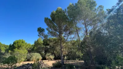 Chalet in Banyeres photo 23