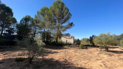 Chalet in Banyeres photo 29