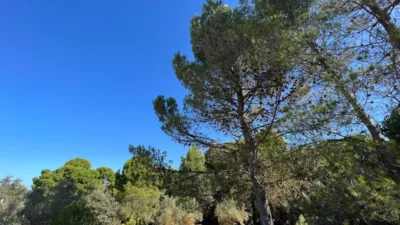 Chalet in Banyeres photo 39