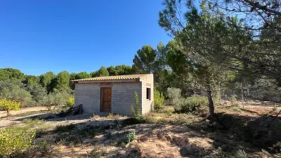 Chalet in Banyeres photo 46