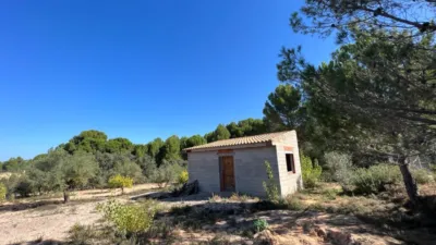 Chalet in Banyeres photo 47