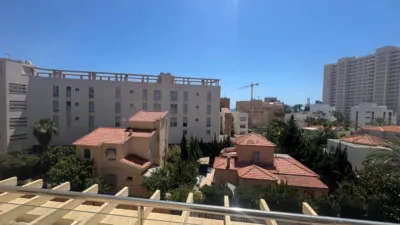 Penthouse in Playa de Muchavista photo 29