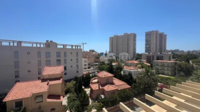 Penthouse in Playa de Muchavista photo 33