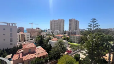 Penthouse in Playa de Muchavista photo 42