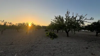 Terreno en venta en Castalla - Vista 5