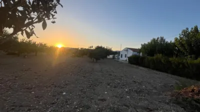 Terreno en venta en Castalla - Más