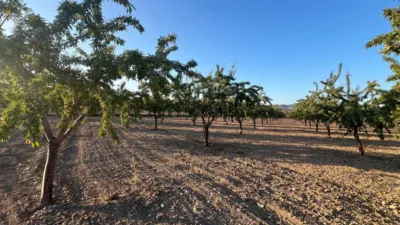 Terreno en venta en Castalla - Más