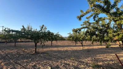 Terreno en venta en Castalla - Vista 3