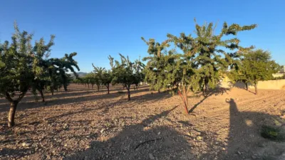 Terreno en venta en Castalla - Vista 4