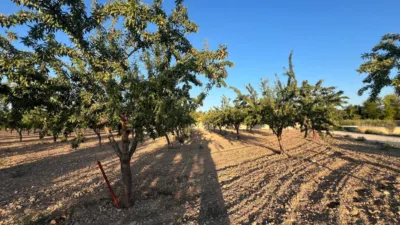 Terreno en venta en Castalla - Vista 2