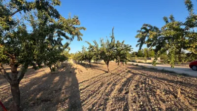 Terreno en venta en Castalla - Vista 5