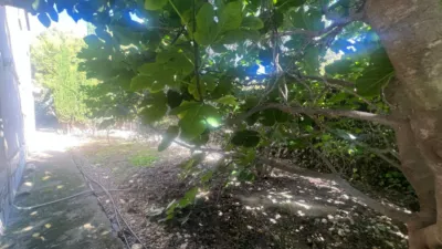 Chalet in Finca Terol photo 39