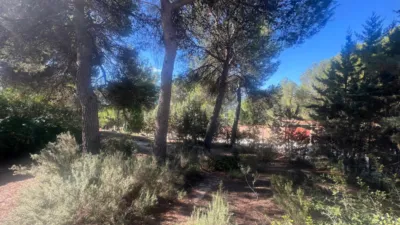 Chalet in Finca Terol photo 40
