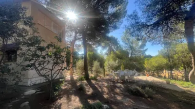 Chalet in Finca Terol photo 45