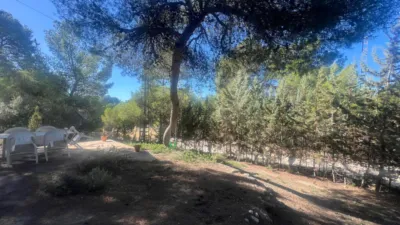 Chalet in Finca Terol photo 7