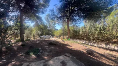 Chalet in Finca Terol photo 32