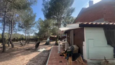 Chalet en Tibi photo 28