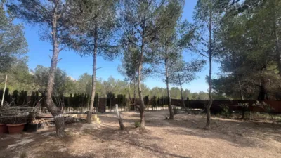 Chalet en Tibi photo 38
